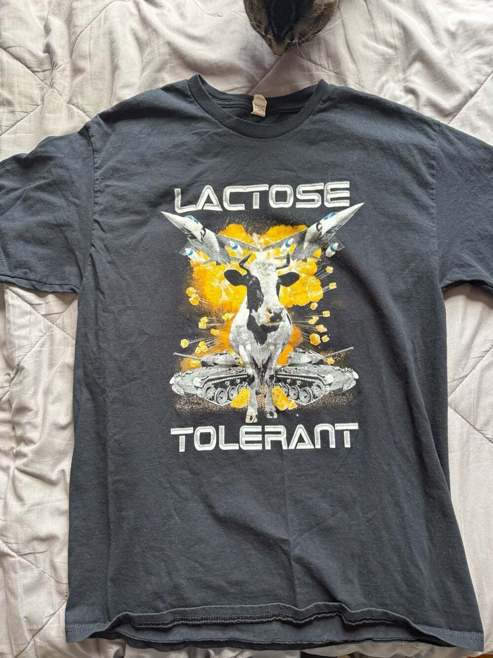 Fruit of the Loom Lactose Tolerant Funny Meme Graphic T-Shirt Black Medium